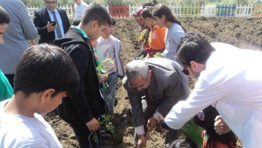 Adana / Karaisalı / 1 Nisan YBO ''Toprağa Dokun Projesi'' ile Hem Üretime Katkı Yaptı Hem de Öğrencilere Yaşam Becerisi Kazandırdı.