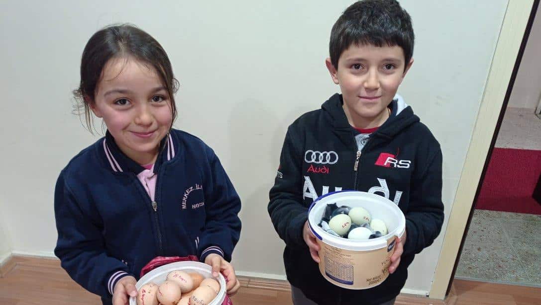 Samsun / Havza / Çakıralan YBO Yumurtanı Getir Civcivini Götür Projesi